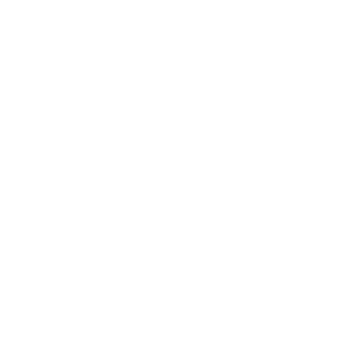 icao level 6